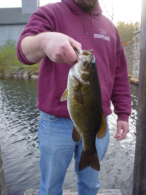 good fishing near Alton