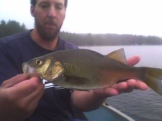 Brookfield fishing photo 3