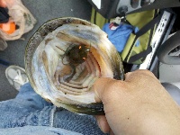 Stumpfield 8-27-11 Fishing Report