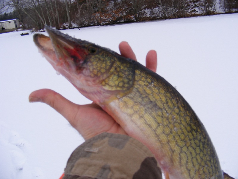 Fishin' the Hard Water