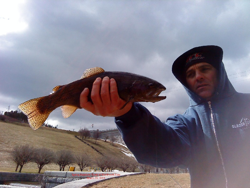 Rainbows at the dam