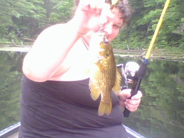 rock bass