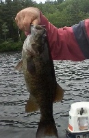 Massabesic  Fishing Report