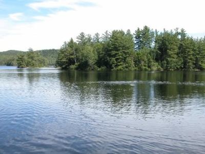 Grafton Pond