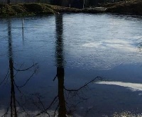 Higher Ground Pond