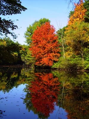 Nashua River 