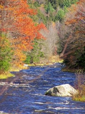 North Branch Sugar River 