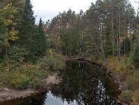 Pine River