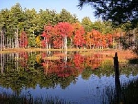 Reservoir Pond