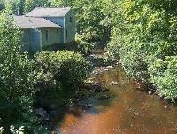 Tioga River