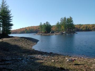 Tower Hill Pond 