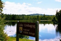 Umbagog Lake