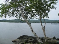 Webster Lake