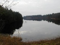 Salmon Falls River