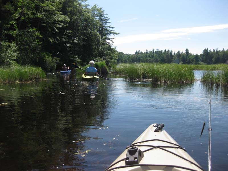 Kayak adventures near Nelson