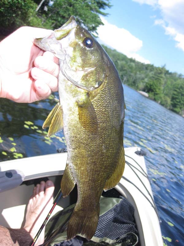 Antrim fishing photo 2