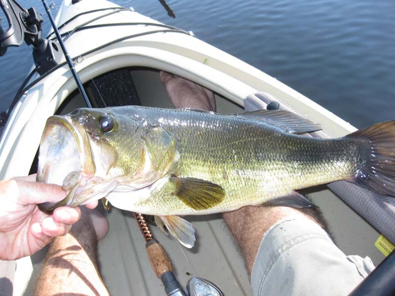 Hancock fishing photo 1