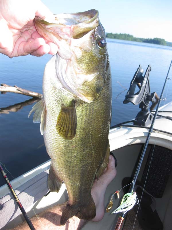 Peterborough fishing photo 2