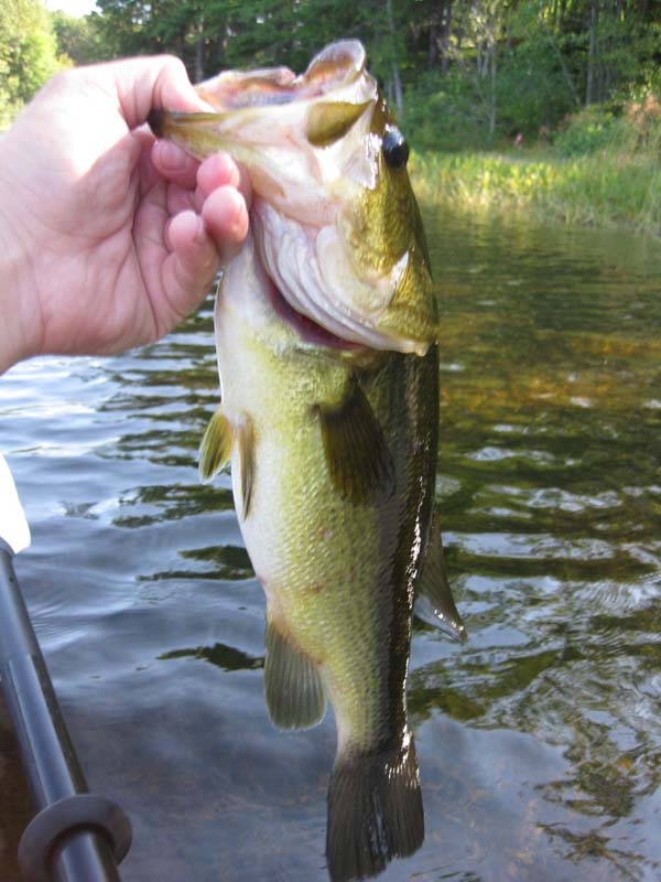 Hancock fishing photo 3