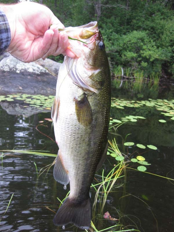 Stoddard fishing photo 3